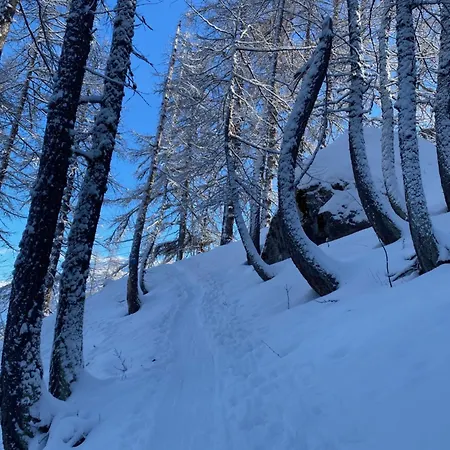 شقة Le Gaudissart 1 *