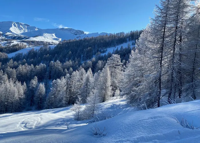 Apartment Le Gaudissart 1